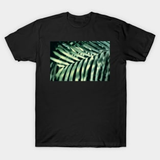 Tropical Light And Shadow T-Shirt